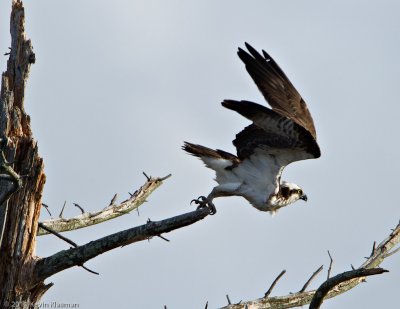 20110427_Nashua-NH_0020