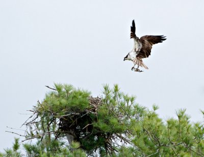 20110511_Nashua-NH_0046