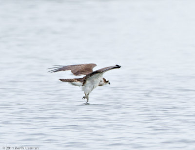 20110511_Nashua-NH_0066