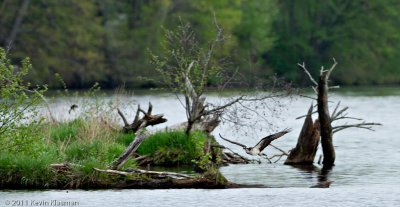 20110511_Nashua-NH_0073