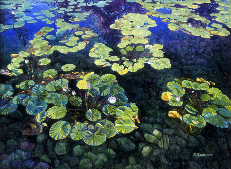 Lilypads