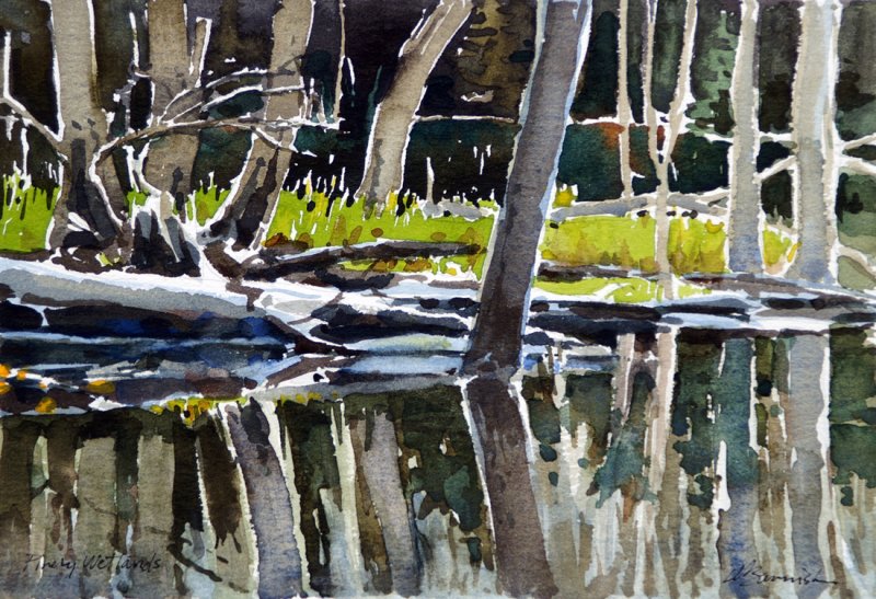 Wetlands