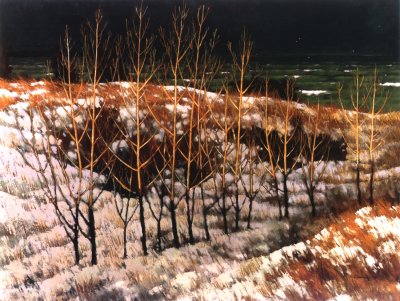 First Snow, Pinery