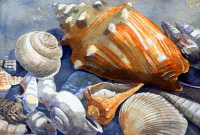 Shells