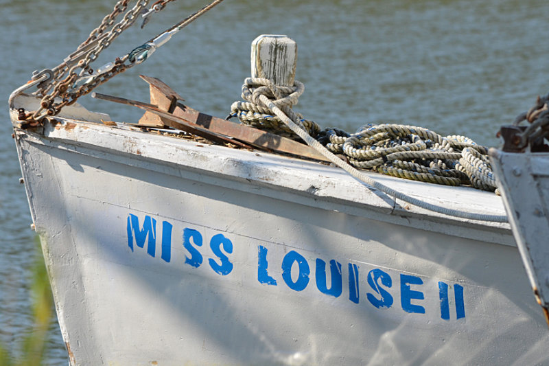 Miss Louise