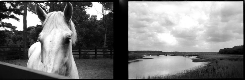 Horse and River Diptych