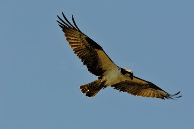 Brazoria County  2-25-11 0287.JPG
