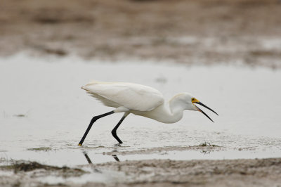 Byran Beach 5-21-11 0315.JPG