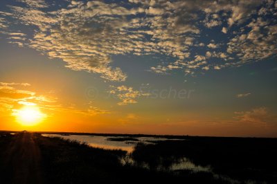 Brazoria NWR 9-21-10 0486.JPG