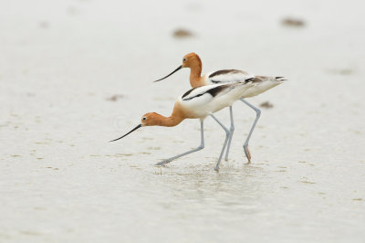 Byran Beach 5-21-11 0419.JPG