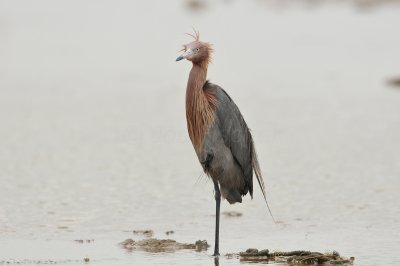 Byran Beach 5-21-11 0421.JPG