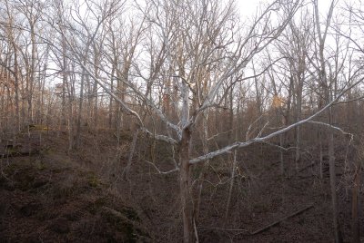 Grand Gulf SP 12-29-07 0010.jpg