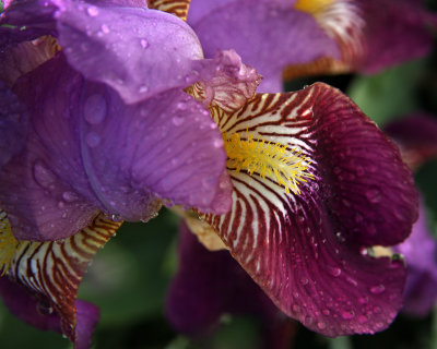 IMG_9630 edit.jpg