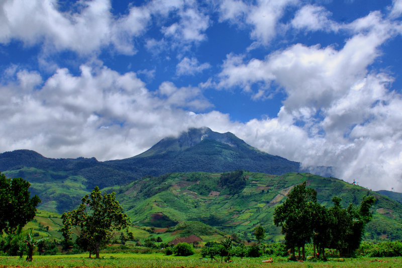 Mt. Apo