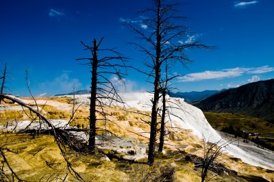 Yellowstone & Grand Teton