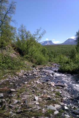 Landscape