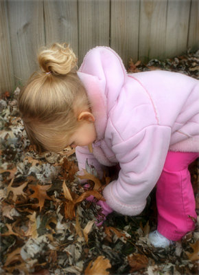 Gathering Leaves