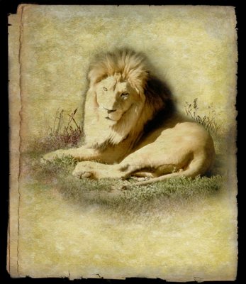 Lion Version 2