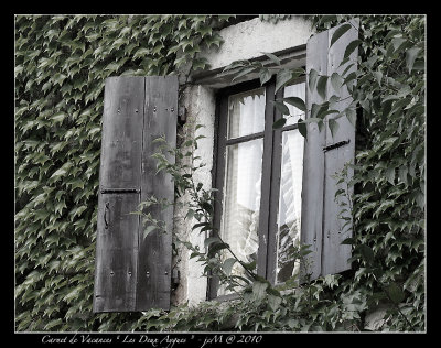 Windows vista 2010