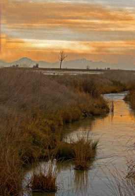 The Buttes  and some smoke.jpg