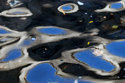 Ripples DSC_3932 4.JPG