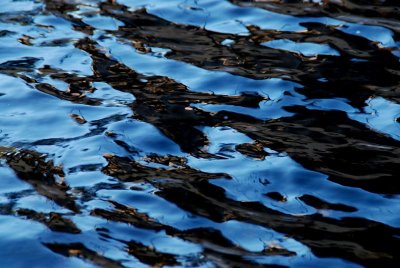 Ripples DSC_3932 6.JPG