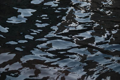 Ripples DSC_3932 7.JPG
