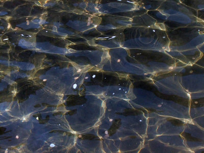 Ripples DSC_3932 18.JPG
