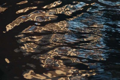 Ripples DSC_3932 22.JPG