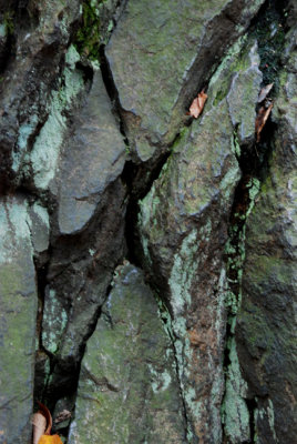 Abstract 17.JPG