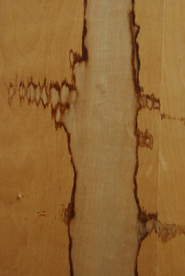 Abstract 19.JPG