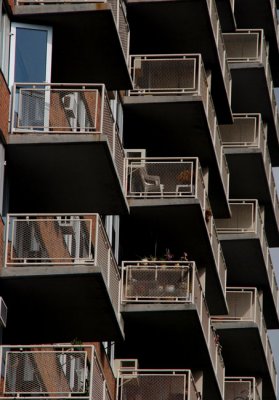 Abstract 38.JPG