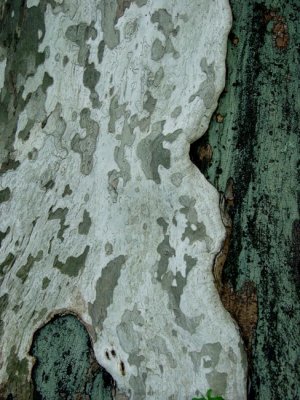 Abstract 77.JPG