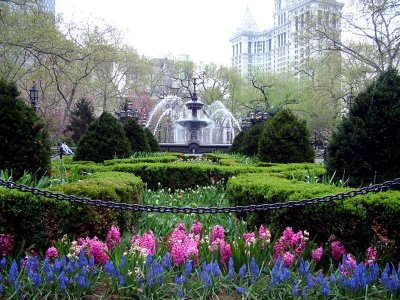 NEW YORK CITY SCENERY 16.JPG