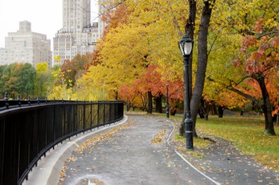 NEW YORK CITY SCENERY 19.JPG