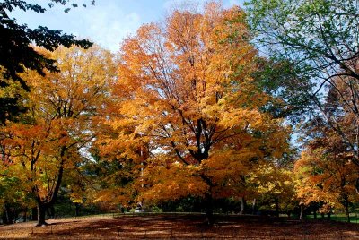 NEW YORK CITY SCENERY 20.JPG