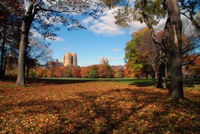NEW YORK CITY SCENERY 21.JPG