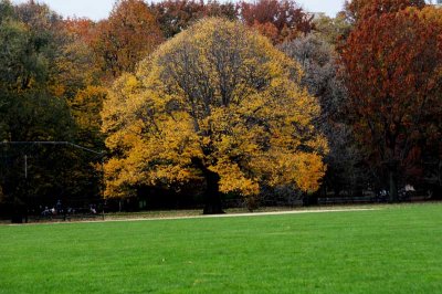 NEW YORK CITY SCENERY 34.JPG