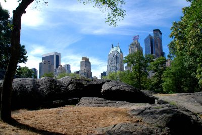 NEW YORK CITY SCENERY 81.JPG