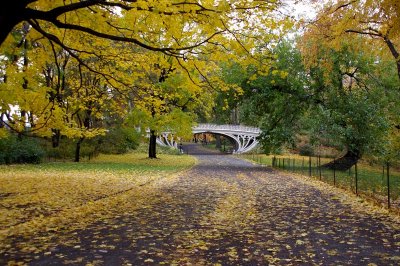 NEW YORK CITY SCENERY 97.JPG