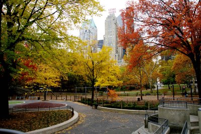 NEW YORK CITY SCENERY 100.JPG