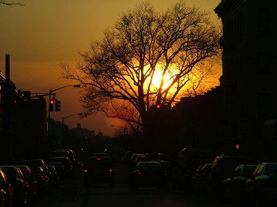 NEW YORK CITY SCENERY 109.JPG