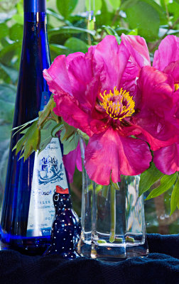 Pinot, Pie Bird & Peonies