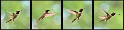 Hovering