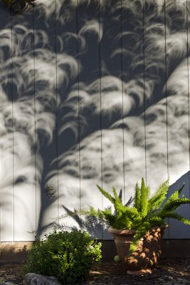 _DSC9907 eclipse shadows.jpg