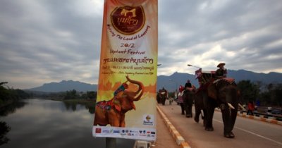  The Elephant Festival-Sayaboury. Laos