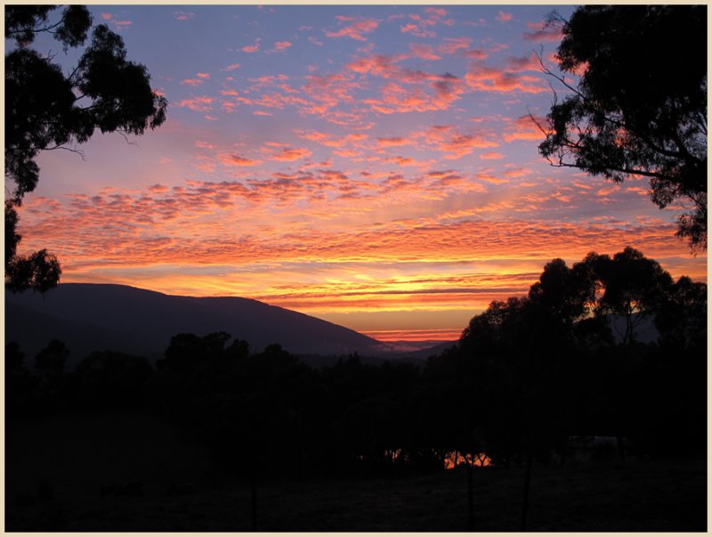 Autumn Sunrise