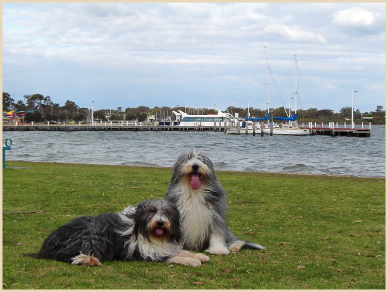 Pridie & Clancy on Paynesville foreshore.