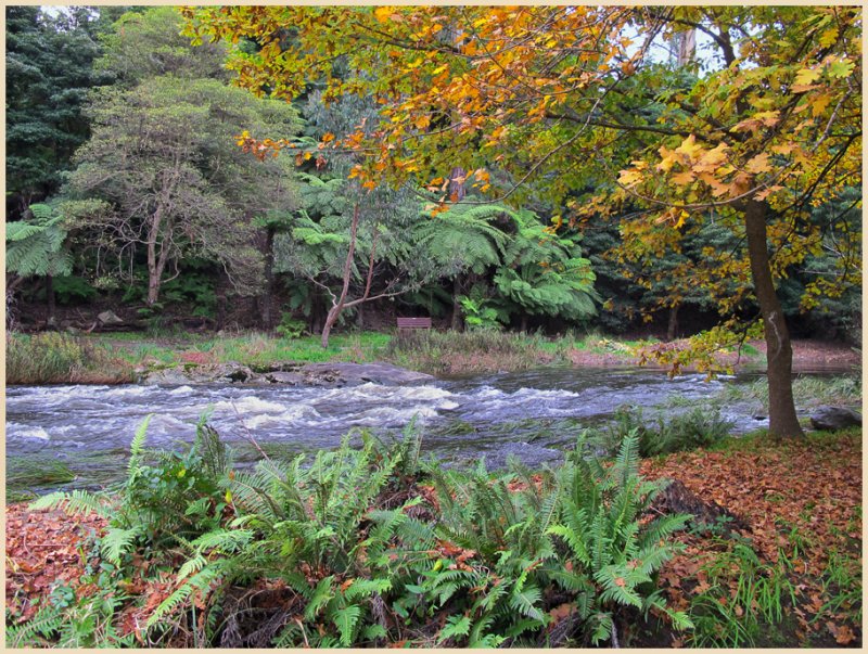 Yarra River Warburton