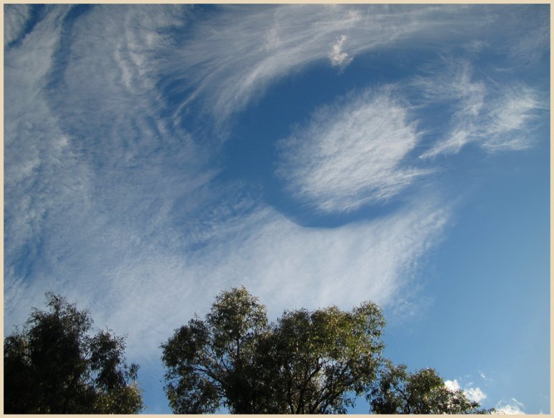 Cloud